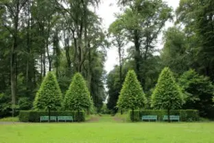 Tala y poda de árboles en altura, Orense y provincia